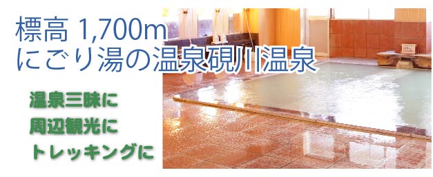 源泉掛け流しにごり湯の温泉