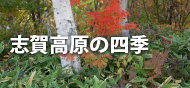 志賀高原の四季