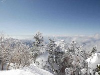 横手山頂