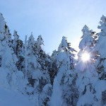IMG_2706